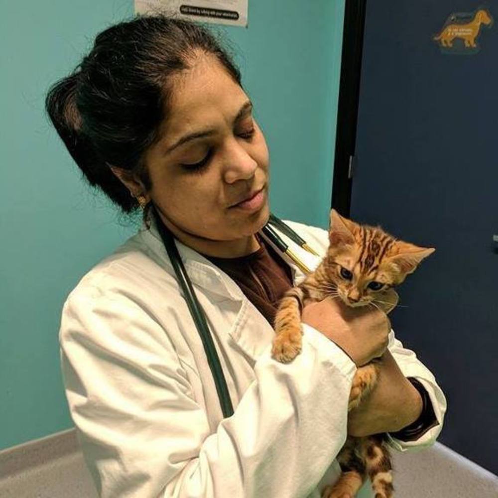 Meet your Posher, Usha